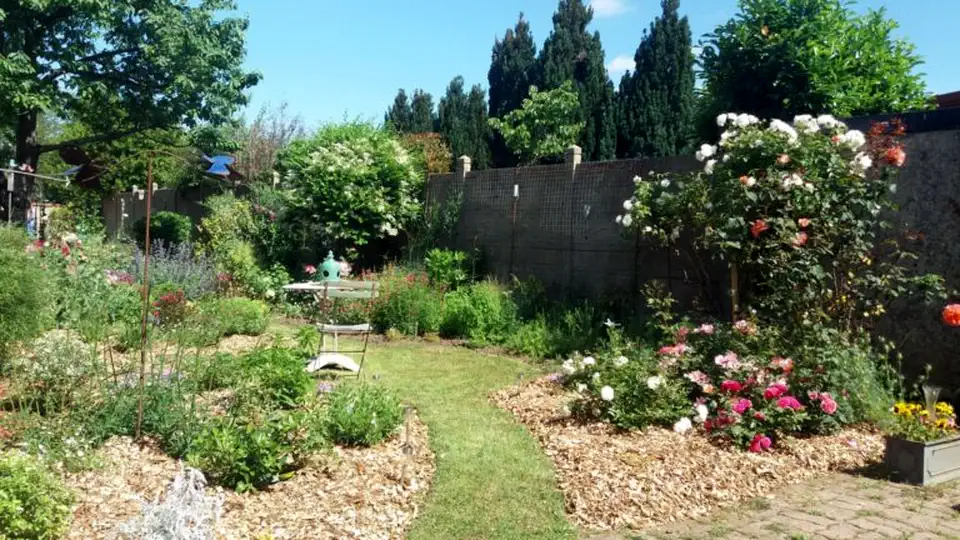 amenagement-jardin-massifs-paillage-les-jardins-disabelle