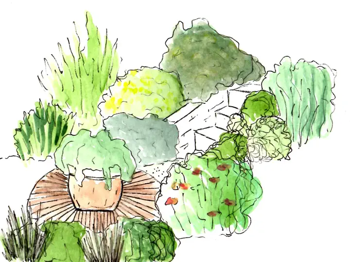 Croquis jardin Les jardins d'Isabelle