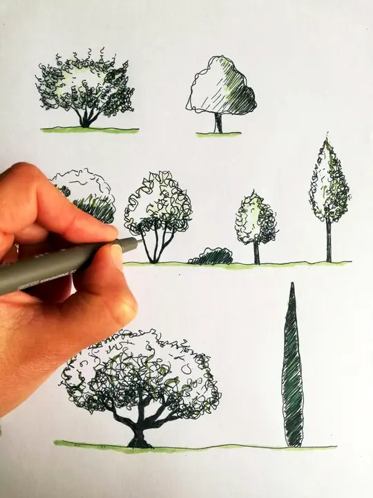croquis arbres les jardins d'Isabelle