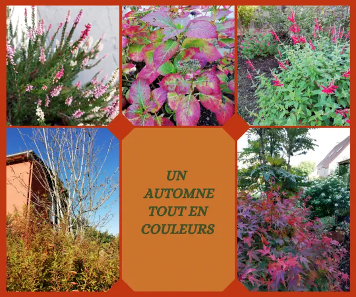 un automne tout en couleurs Les jardins d'Isabelle