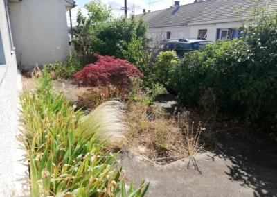Jardinage et Entretien de jardins - avant nettoyage