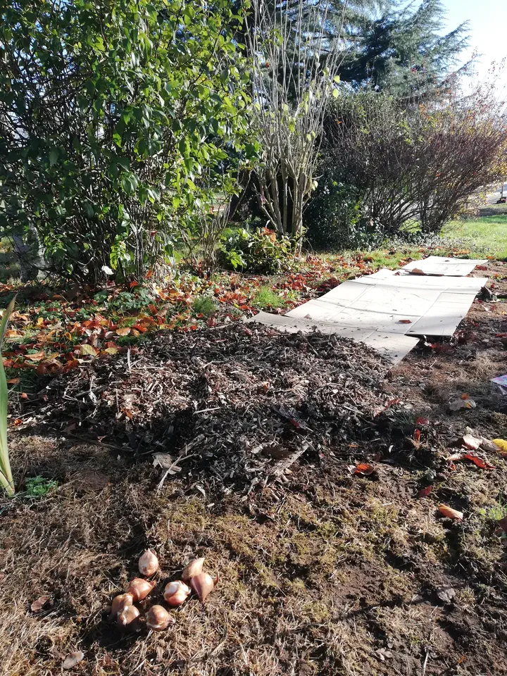 5.plantations-bulbes-automne Plan d'aménagement de petit jardin