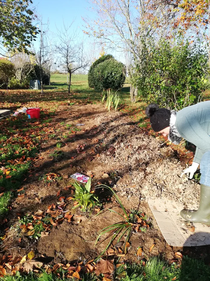 6.co-jardinage-paillage-massifs Plan d'aménagement de petit jardin