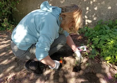 Jardinage et Entretien de jardins - co-jardinage